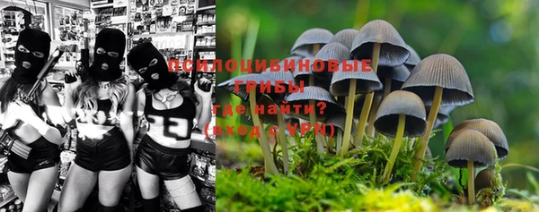 мдпв Балабаново