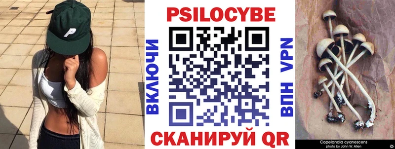 Псилоцибиновые грибы Psilocybine cubensis  гидра ТОР  Белая Калитва 